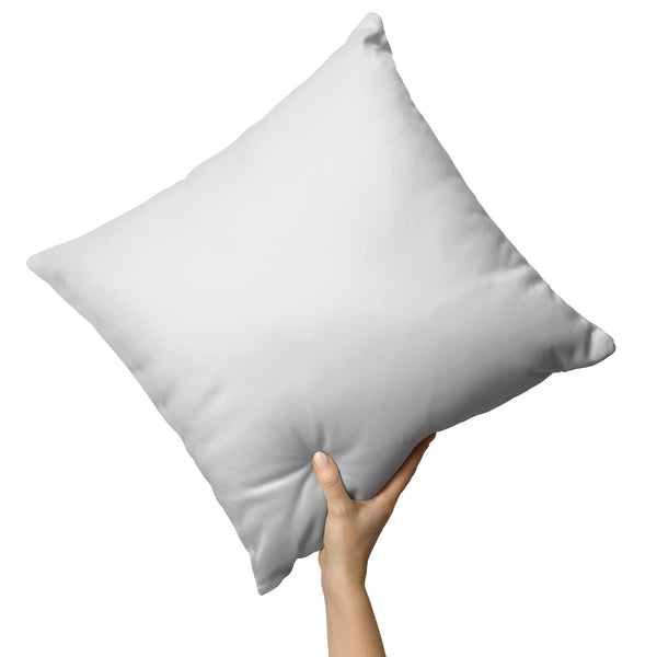Sucia Island Pillow