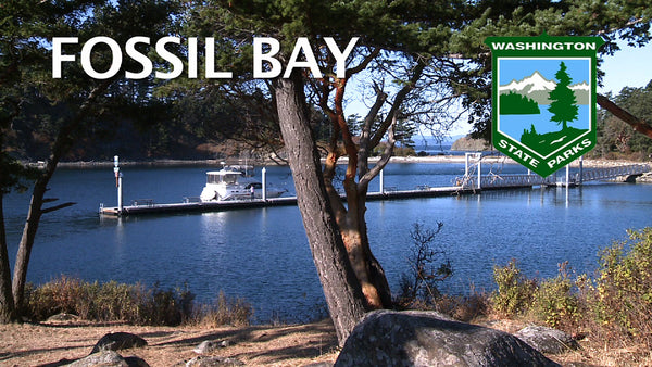 DVD Cruising Guide- San Juan Islands