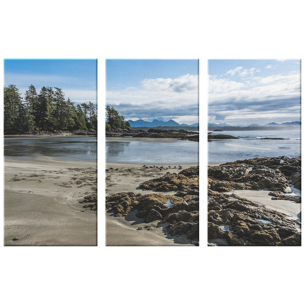 Tofino Coastline